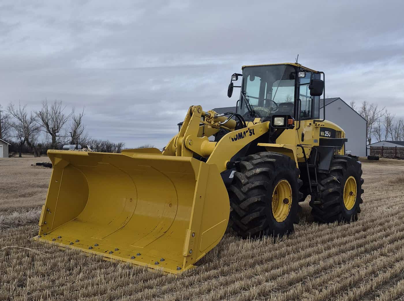 Rear side view of 2010 Komatsu WA250-6 wheel loader in Alberta